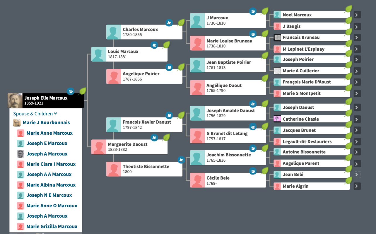 Ancestry Citer